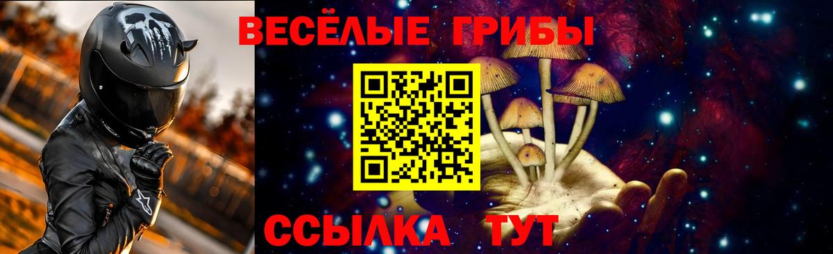 Галлюциногенные грибы Cubensis  Вход с VPN  Боровичи 